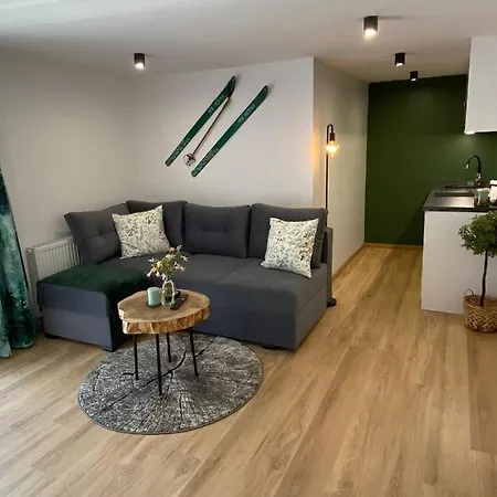 Apartament U Gazdy - Z Sauną , Jacuzzy, Ogrodem I Tarasem - Przy Gondoli